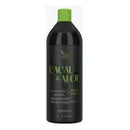 Zap Black Progressive Hair Treatment with Cocoa and Aloe Vera